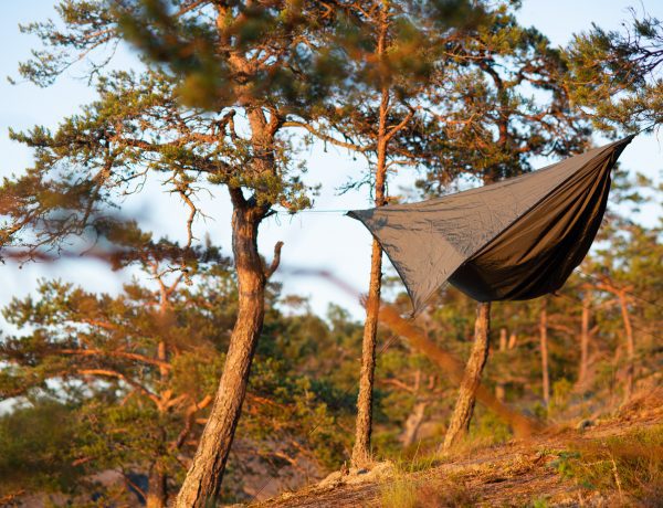 Hammock eller tält i Stockholms skärgård