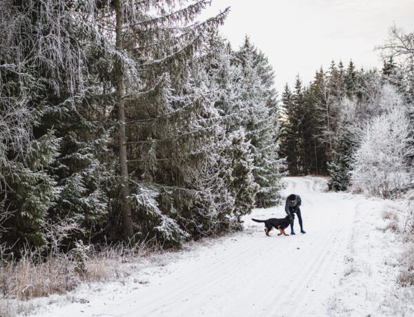 Träning i snö - jogga på vintern