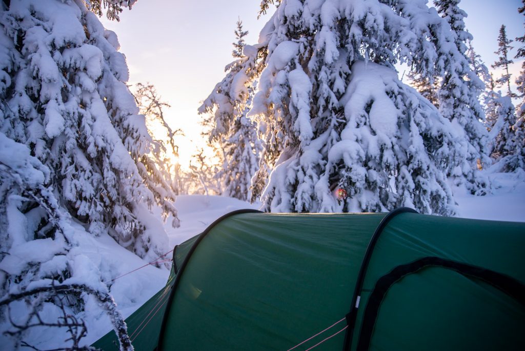 Tält i skogen på vintern