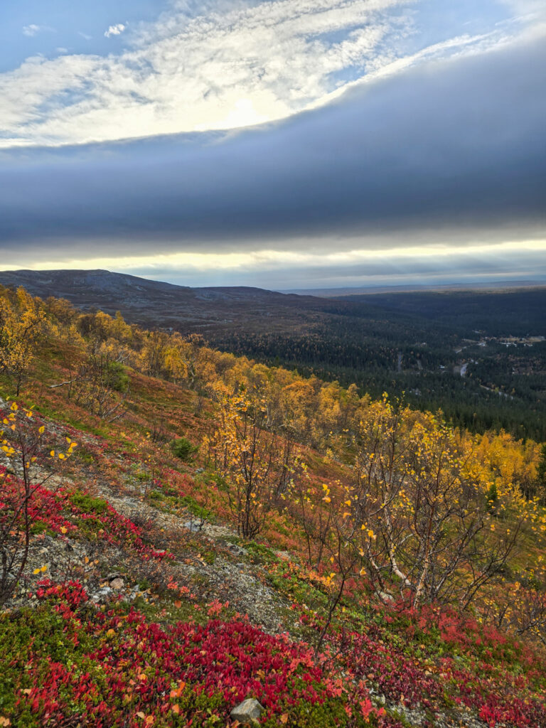 Bastudalens naturreservat i Jämtland