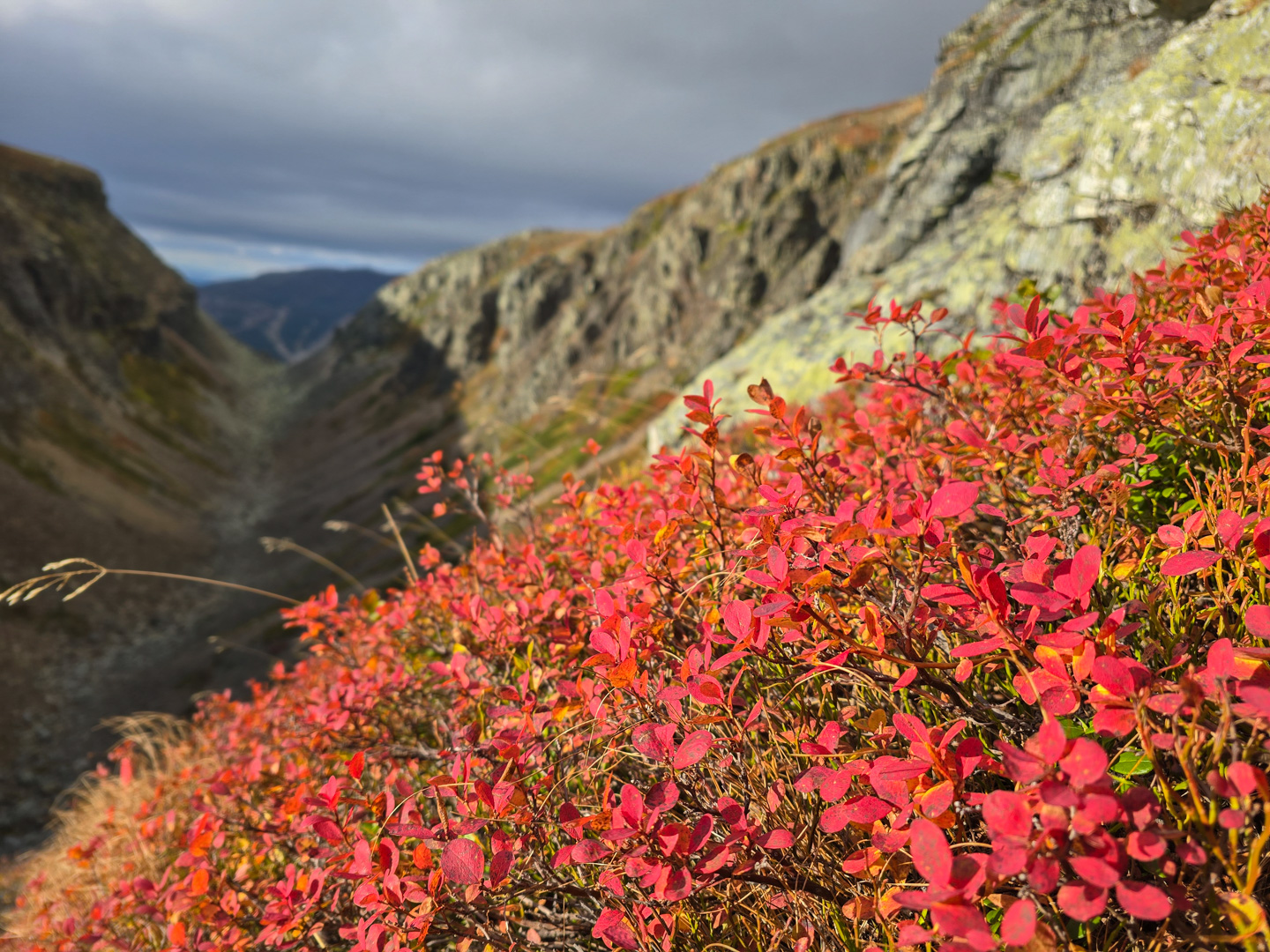 Vandring i Dromskåran