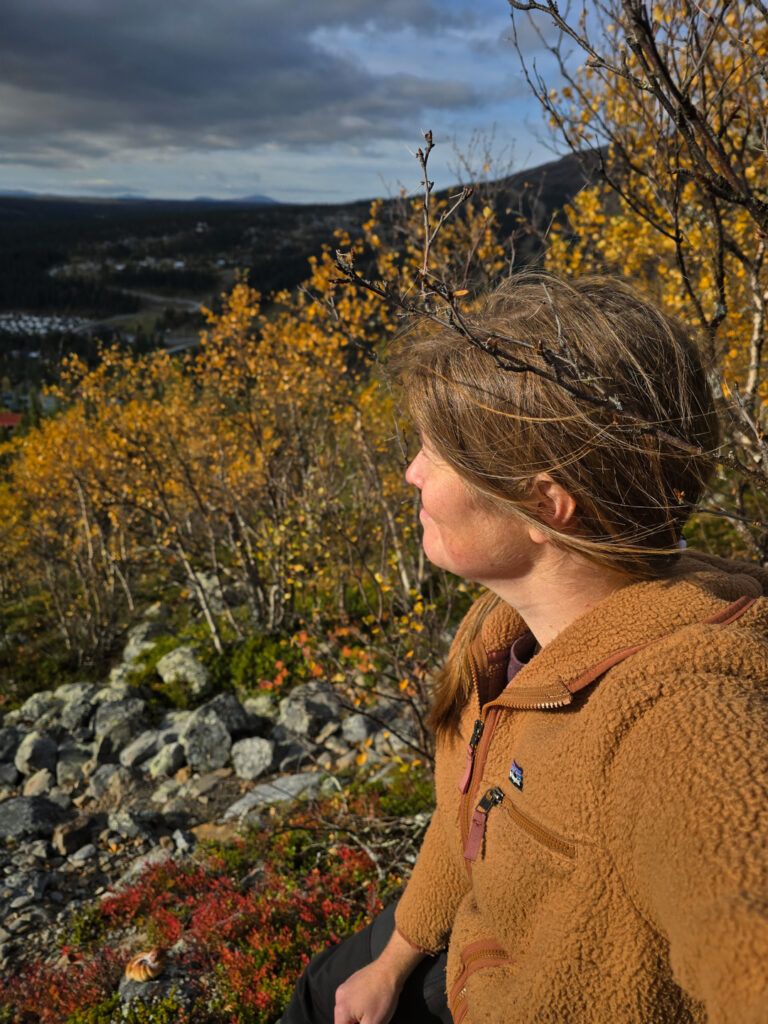 Wilda i Bydalen