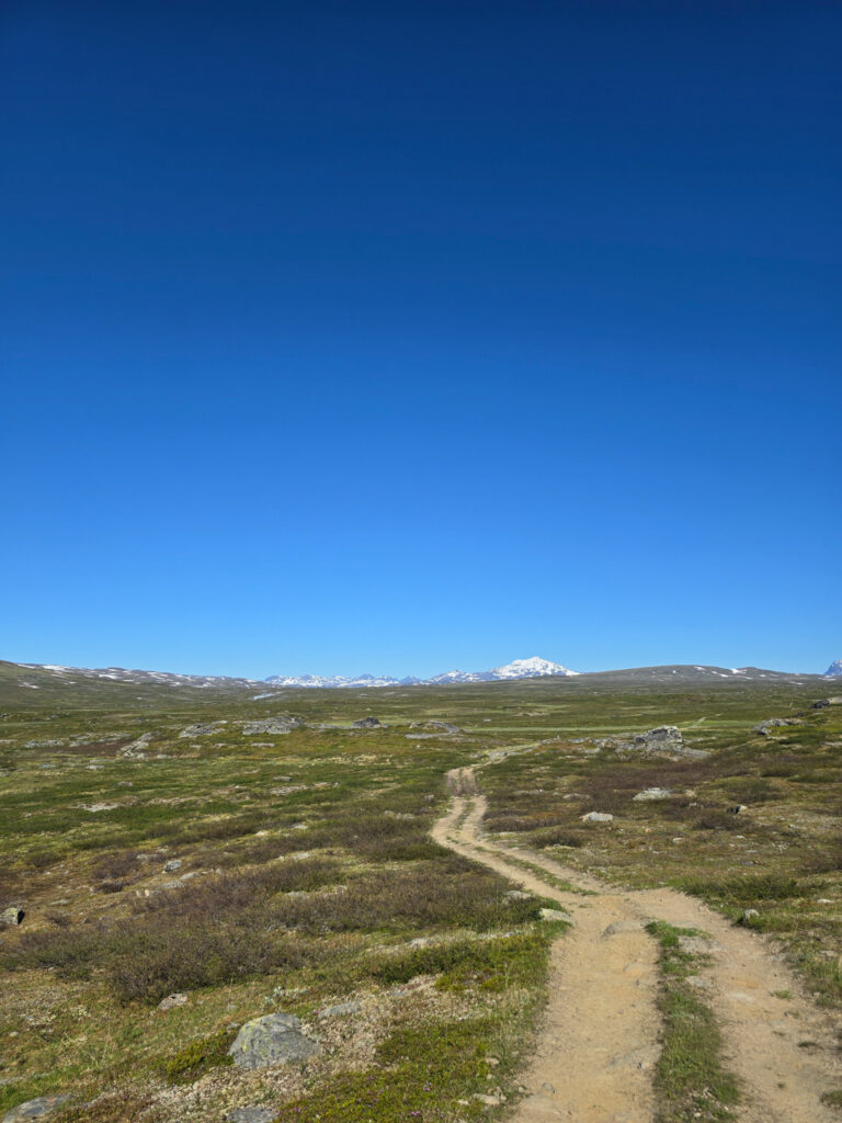 Bred stig mot Sitasjaure