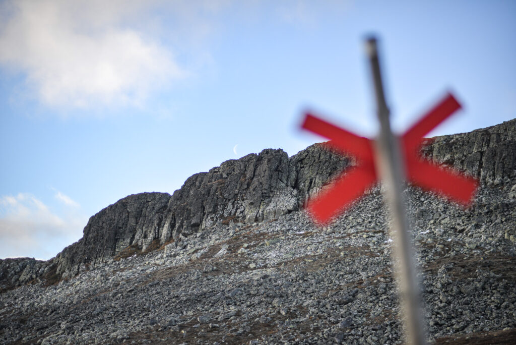 Ledkryss på Anåfjället i Funäsfjällen