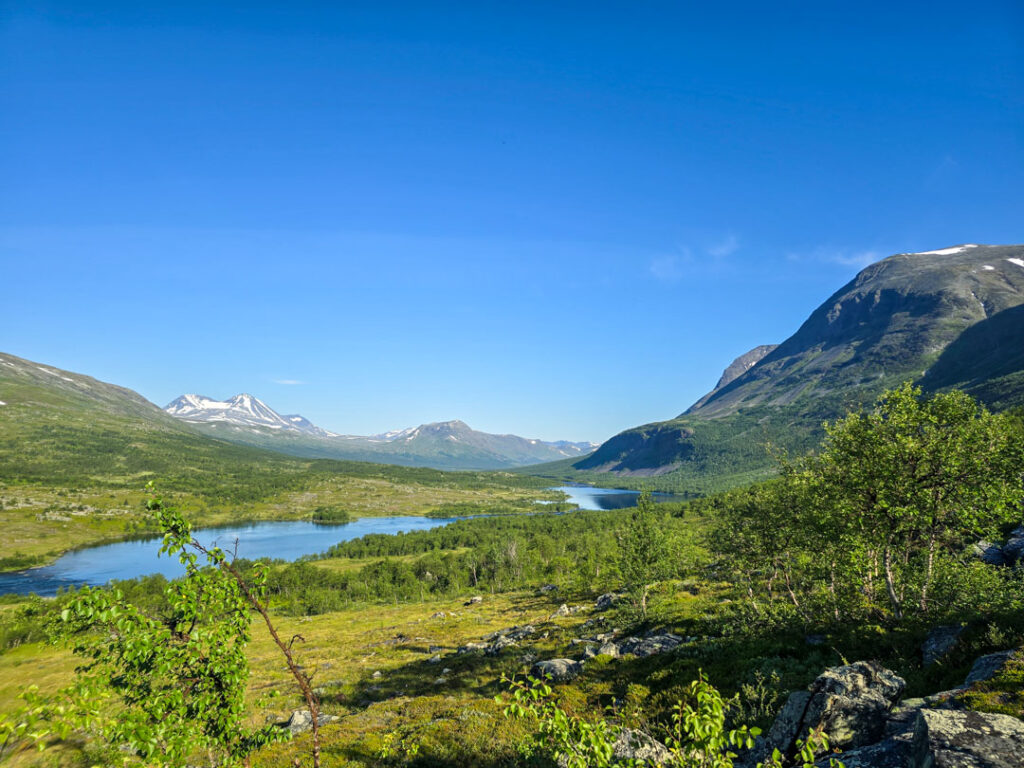 Tarradalen och Pärlälvens fjällurskog naturreservat på Padjelantaleden