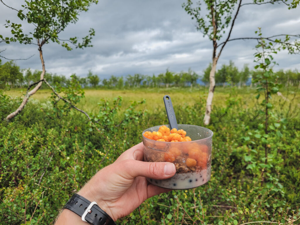 hjortron på musli med mjölk på vandring