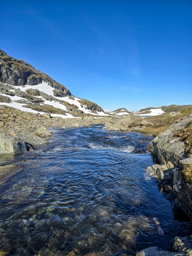 Vada i fjällen
