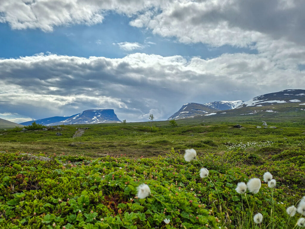 Fjällvandring från Abisko till Lapporten