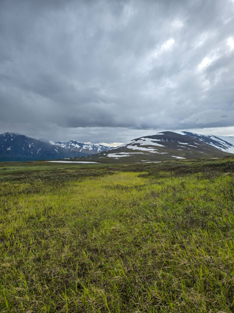 Fjällvandring till Nissonvággijohka över blöt myr