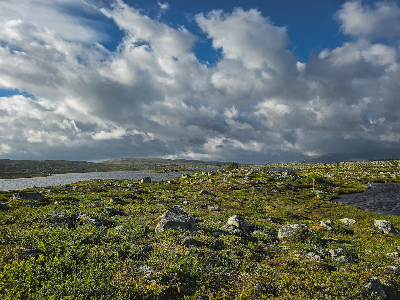 Midsommarafton i STF fjällstuga