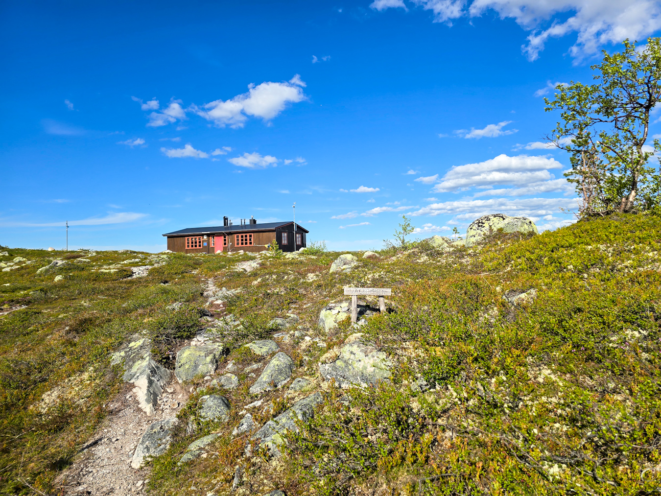 Nu börjar äventyret som stugvärd