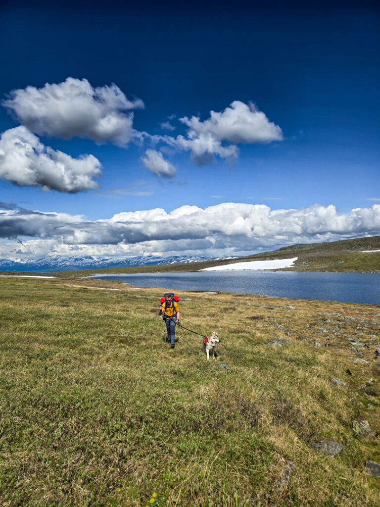 Vandring med hund i Lapporten