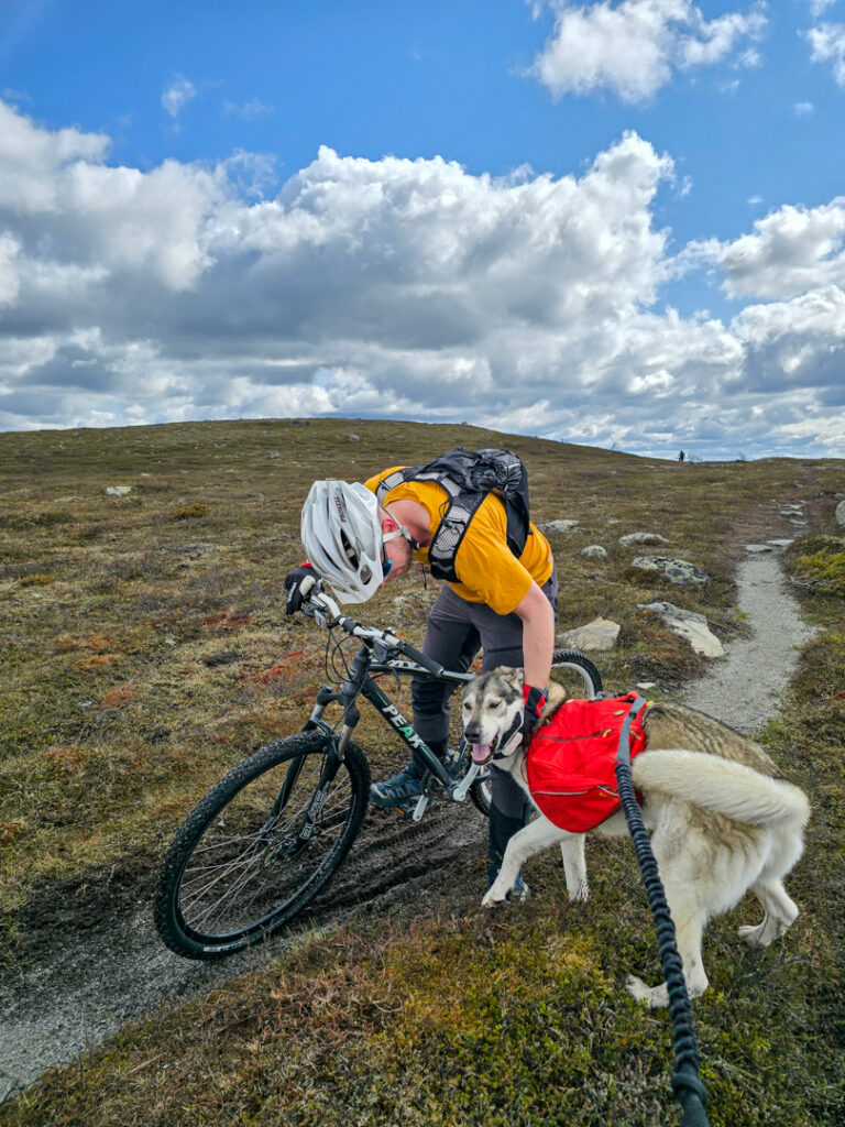 Cykla MTB på Skarvleden i Funäsfjällen