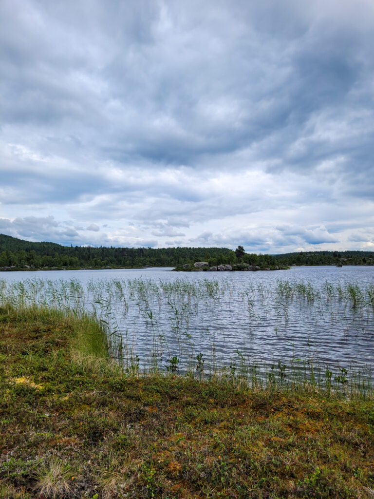 Tjärn vid Kungsleden Ammarnäs till Kvikkjokk