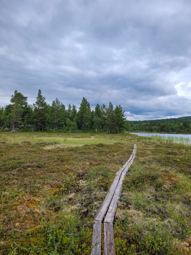 Spång på Kungsleden Ammarnäs till Kvikkjokk