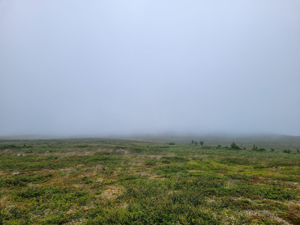 Pieljekaise på Kungsleden