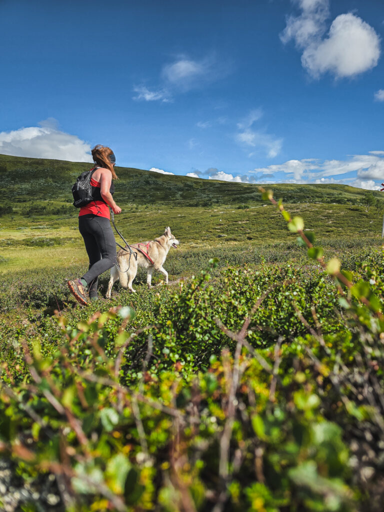 Slowrunning i Funäsfjällen