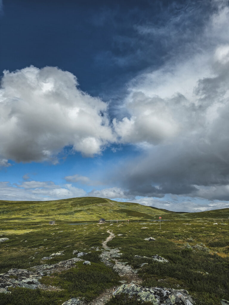 Trailrunning på fjället i Tänndalen
